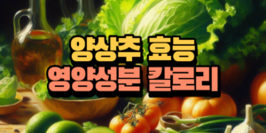 양상추 효능