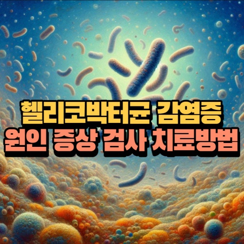 헬리코박터균 치료