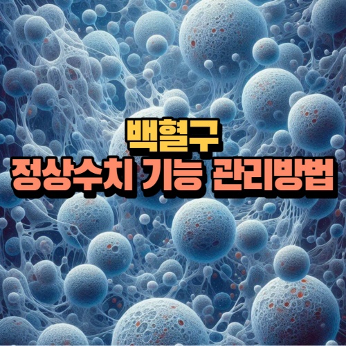 백혈구 정상수치