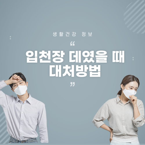 입천장 데였을때 대처 방법