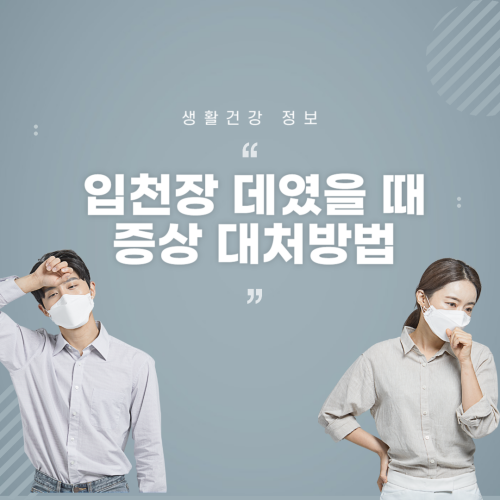 입천장 데였을때 대처방법