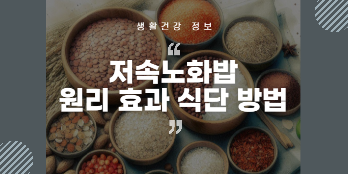 저속노화밥 식단